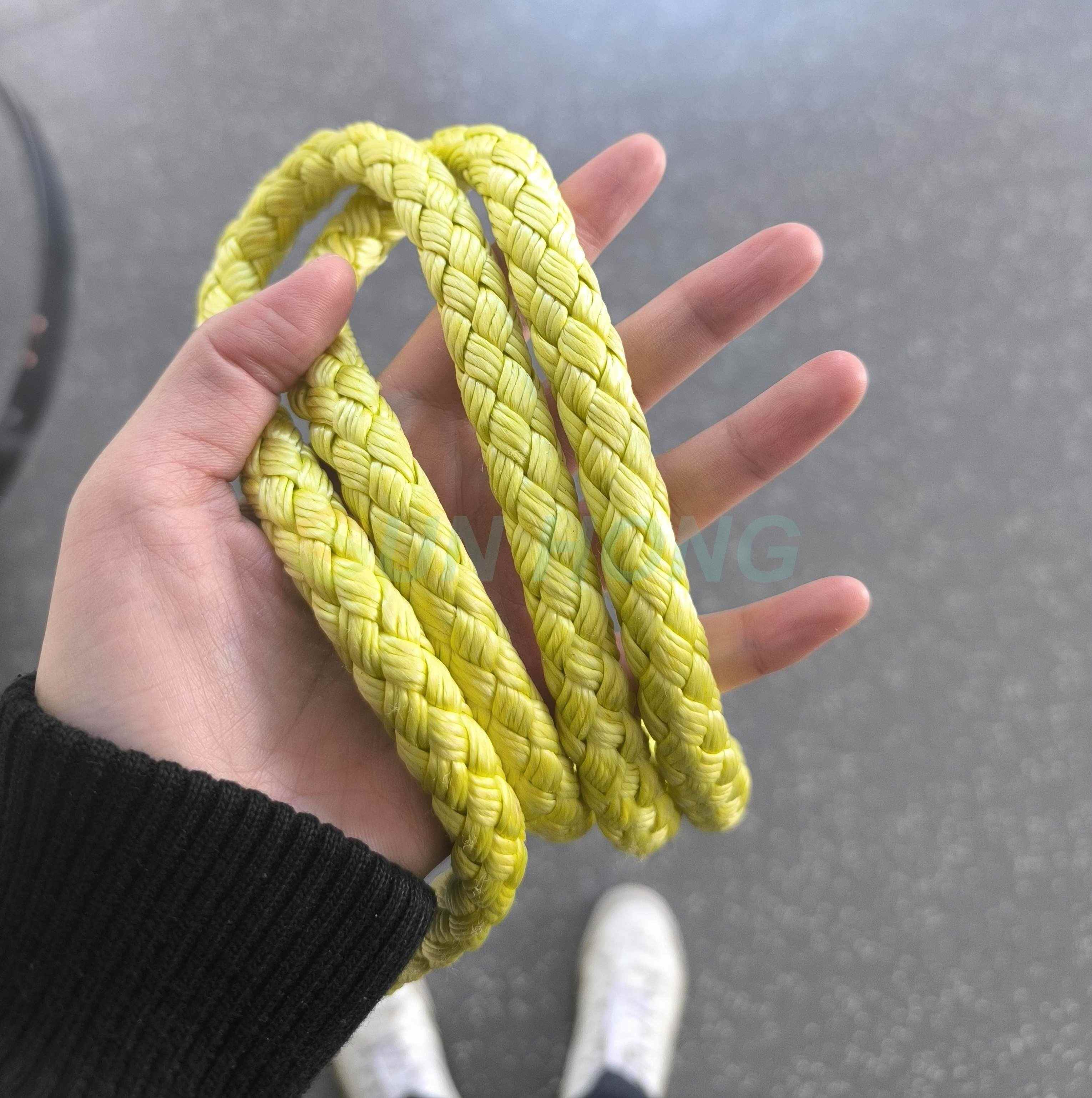 Corde de transporteur dupont importé pour machine en papier