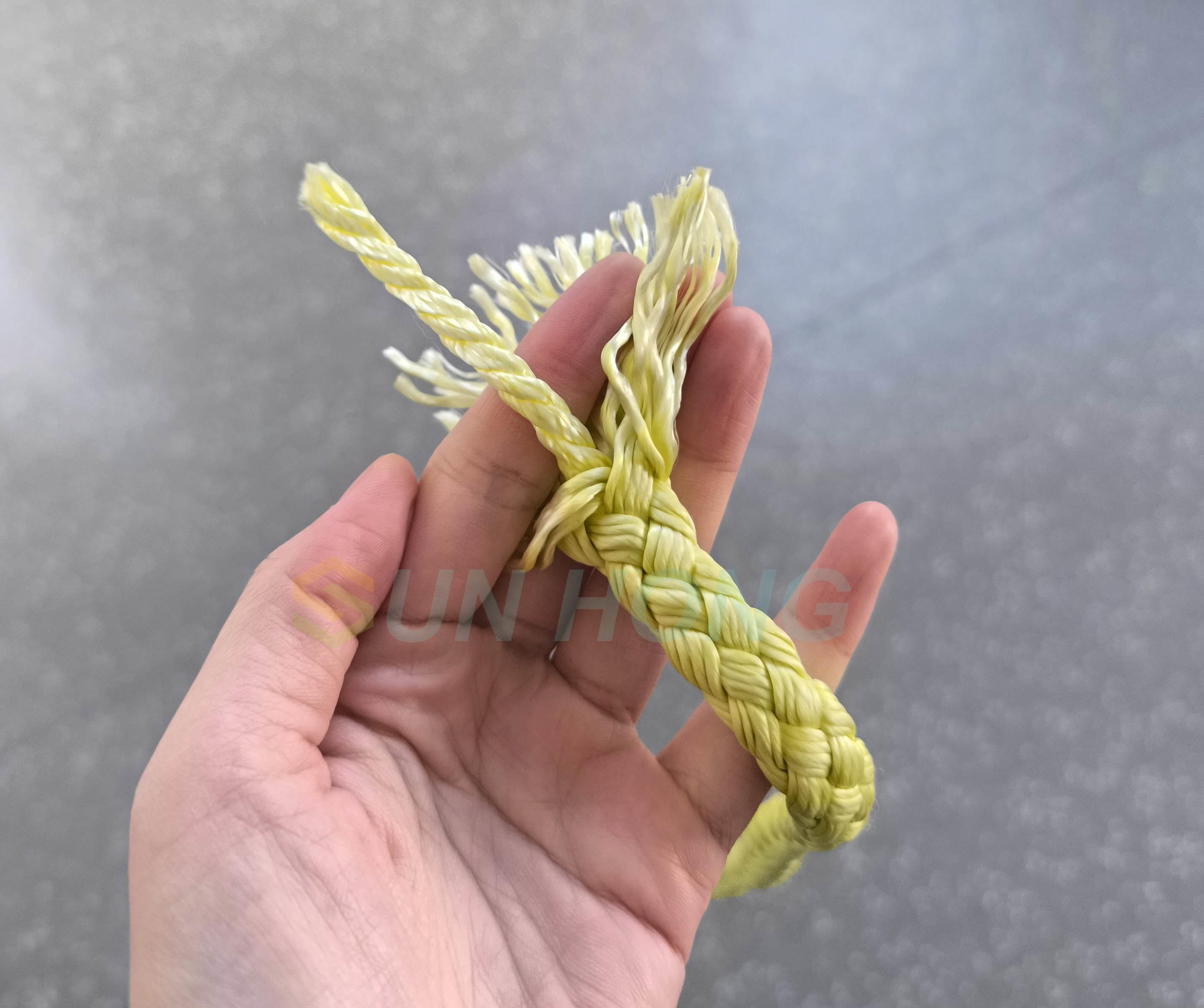 Corde de transporteur dupont importé pour machine en papier