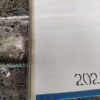 Belon en maille d'assèchement des boues de presse à pulpe